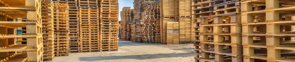 Wiederverwendung, Recycling, Reparatur für die Verpackungsindustrie